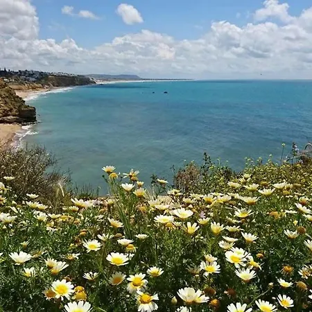 דירה Helle Und Geraeumige In Conil By Interhome *