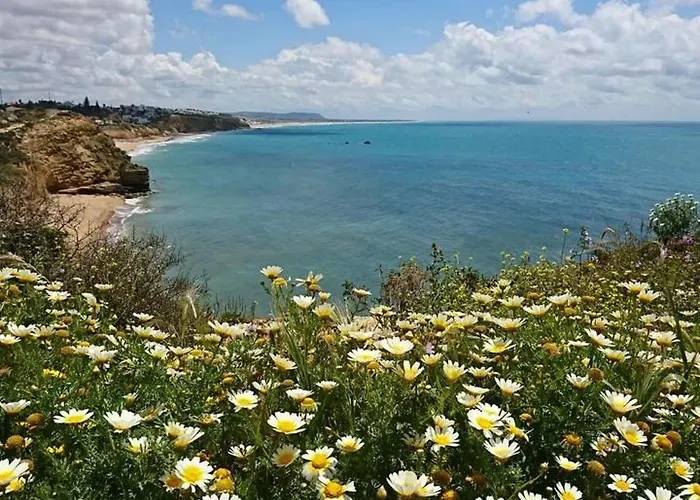 Lejlighed Helle Und Geraeumige In Conil By Interhome *